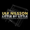 About Little By Little-Lulleaux & George Whyman Remix Song