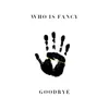 About Goodbye Song