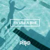 About Fly Like A Bird Song