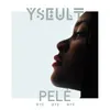 Bye Bye Bye Remix By Pele