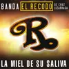 About La Miel De Su Saliva Song