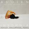 Insomnia Ashley Wallbridge Remix