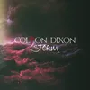 Echo Neon Feather Remix