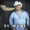 About Tu Mami Song