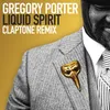 Liquid Spirit Claptone Remix