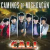 About Caminos De Michoacán Version 2015 Song
