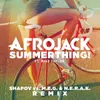 About SummerThing! Shapov Vs. M.E.G. & N.E.R.A.K. Remix Song