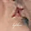 About Lykken Song