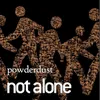 About Not Alone Radio Edit Song