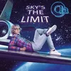 About Sky's The Limit Song