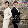 Vaughan Williams: The Lark Ascending - IV. Senza misura