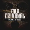 About I'M A CRIMINAL Song