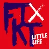 About Little Life Song