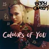 About Colours Of You Nick And Charlie Version Song
