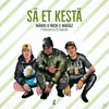 About Sä Et Kestä Song