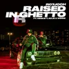 About Raised In Ghetto Song