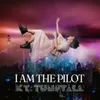 About I Am The Pilot Song