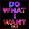 About Do What I Want Song