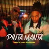 About Pinta Manta Song