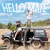 About Hello Mate Song