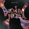 About B*tch I'm Nice Song