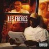 About Les frères Song