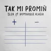 About Tak mi promiň Song
