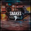 About Snakes Song