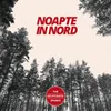 About Noapte in Nord Song