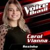 About Sozinho The Voice Brasil 2016 Song