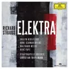 R. Strauss: Elektra, Op. 58 - "Allein! Weh, ganz allein." Live At Philharmonie, Berlin / 2014