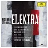 R. Strauss: Elektra, Op. 58 - "Die Götter! bist doch selber eine Göttin." Live At Philharmonie, Berlin / 2014