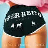 About Perreito-Remix Song