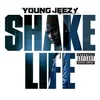 About Shake Life Explicit Version Song