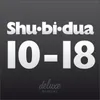 About Shu-bi-dua Goes Flat Radio Edit / Bonus Song