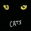 About The Jellicle Ball Song