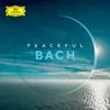 J.S. Bach: Flute Sonata in E-Flat Major, BWV 1031 - II. Siciliana (Arr. Tarkman for Oboe and Ensemble)