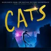 The Rum Tum Tugger From The Motion Picture Soundtrack "Cats"