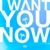 About I Want You Now Song