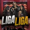About Liga Liga-Ao Vivo Song