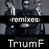 TriumF Michael Parsberg & Flipside (King Of Hearts Remix)