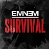 About Survival Song