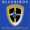 Cardiff Born