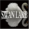 Tchaikovsky: Swan Lake, Op. 20: II. Waltz