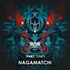 About Nagamatchi Song