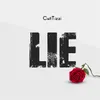 About Lie Song