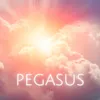 About Pegasus Meteoro Song