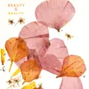 Beauty & Beauty (feat. Melanie Müller)