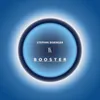 About Booster Song