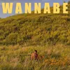 About Wannabe Song